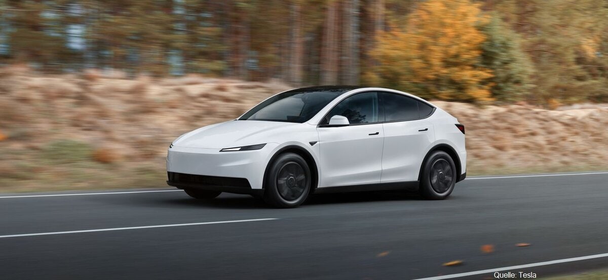 Tesla Model Y Standard LR Hinterradantrieb INSTADRIVE ecarso